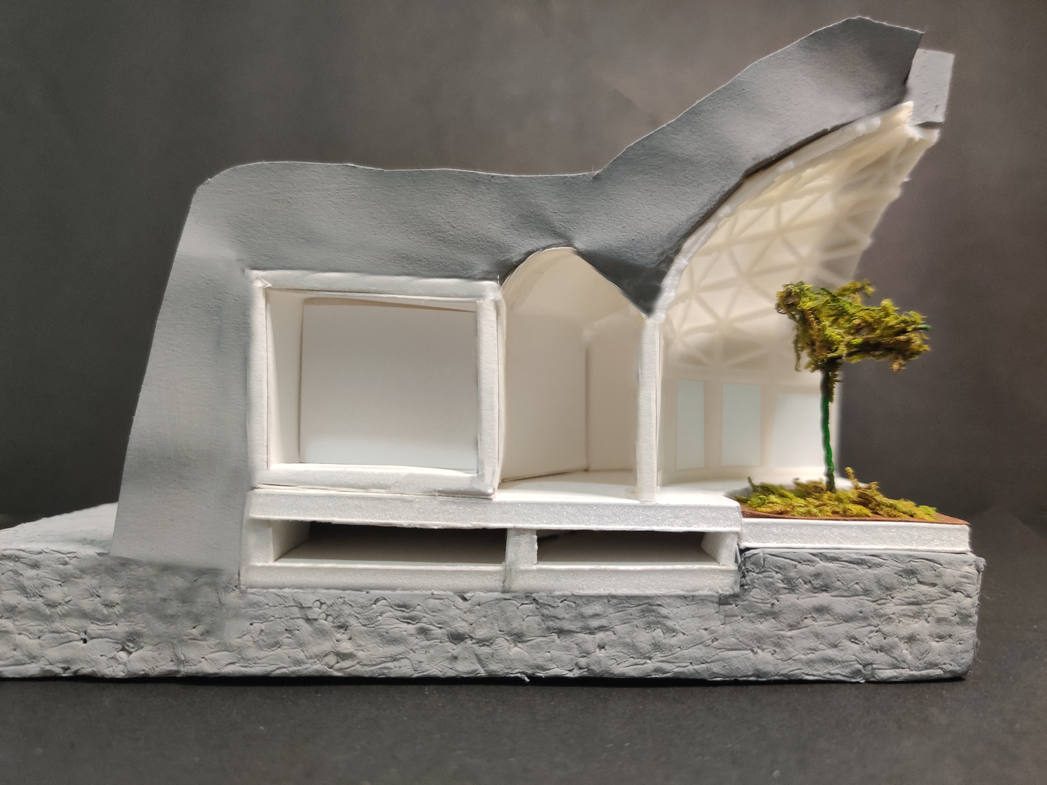 Partial Section View of the Physical Model