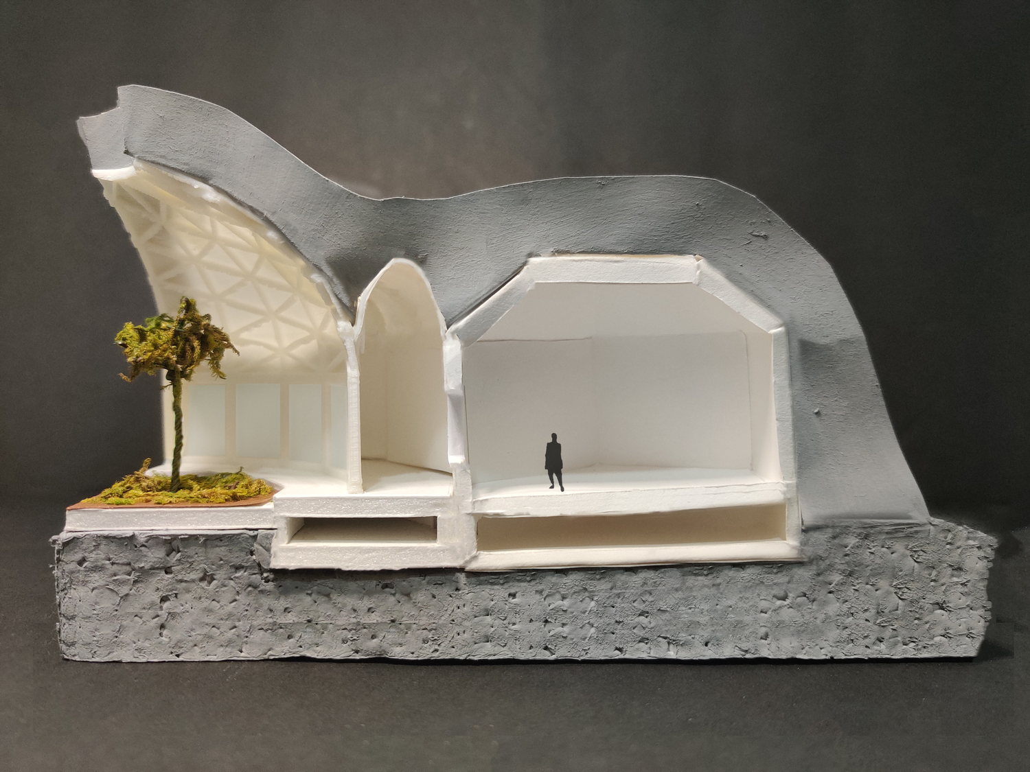 Partial Section View of the Physical Model